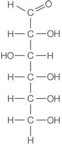 Refer to the figure below.   How many and what type(s)  of atoms will occupy positions in the ring that forms when this molecule cyclizes? A)  Four carbon atoms B)  Four carbon atoms and one oxygen atom C)  Five carbon atoms D)  Five carbon atoms and one oxygen atom E)  Six carbon atoms