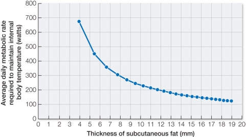 Refer to the graph below, showing data collected from harbor porpoises in eastern Scotland.   Based on these data, which biological function is associated with the lipids found in fats under the skin (subcutaneous fats)  in harbor porpoises? A)  Thermal insulation B)  Energy storage C)  Light energy harvesting D)  Water retention E)  Regulation of cell metabolism