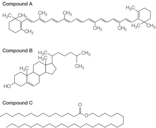 Refer to the table and figures below.     A student is creating a table showing lipids and their biological functions.He drew three molecular structures to represent lipids A, B, and C.The capital letter _______ should be placed to the left of the function listed.