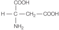 Refer to the figure below, showing the structure of an amino acid found in living organisms.   Which figure correctly highlights the portion of this amino acid that differs from other amino acids also found in living organisms? A)    B)    C)    D)    E)   