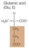 Refer to the figure below.   A protein made up of 125 amino acids contains an isoleucine residue at position 54 in its polypeptide chain.Which amino acid could be substituted for this isoleucine and be expected to cause the least disruption in the protein's three-dimensional structure? A)    B)    C)    D)    E)   