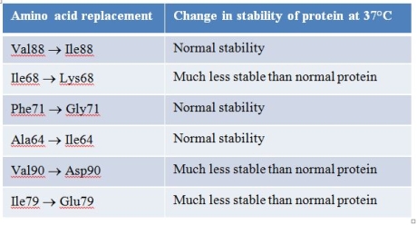 Refer to the figure showing the tertiary structure of a section of a mouse protein, and the table below, showing changes to the stability of the protein for specific single amino acid substitutions.     The numbers shown in the left column refer to the amino acid's position in the polypeptide chain.Which conclusion is consistent with these data? A)  Large changes in sizes of amino acid side chains disrupt the tertiary structure in this region of the protein. B)  The tertiary structure of this section of the protein is stabilized by salt bridges between amino acid residues. C)  Disruption of hydrophobic interactions in this section of the protein leads to decreased stability of its tertiary structure. D)  Protein stability does not change no matter what amino acid is inserted at certain positions in the polypeptide chain. E)  Protein stability always decreases whenever any amino acid change is made at certain positions in the polypeptide chain.