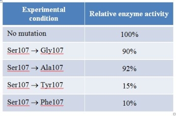 Refer to the table below summarizing data obtained from mutation experiments on a protein enzyme.   Specific amino acid substitutions were made at residue 107, which is occupied by a serine residue in the normal protein.After the mutant proteins were made and purified, their enzymatic activities were measured and expressed as a percentage of unmutated protein's enzyme activity.Which statement provides the most plausible explanation of why such widely different changes in activity of the enzyme were observed? A)  Some mutations lead to disruption of an important salt bridge in the protein, while others do not. B)  Some mutations insert hydrophilic residues into a hydrophobic region of the protein, while others do not. C)  Some mutations insert very large residues into a region of the protein that can accommodate only small side chains, while others do not. D)  Some mutations remove a hydroxyl group in the side chain of residue 107, while others do not. E)  Some mutations replace a hydroxyl group with a basic group, while others replace a hydroxyl group with an acidic group.