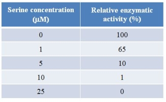 Refer to the table below.The biosynthesis of the amino acid serine occurs through a series of metabolic reactions.A protein that catalyzes one of the beginning steps in the series was purified from bacterial cells.The rate of the reaction catalyzed by the protein was measured under varying concentrations of serine and the results summarized in the table.   The data show that serine _______ the protein, possibly by binding to the protein and causing a change in the protein's _______. A)  activates; primary structure B)  inhibits; tertiary structure C)  activates; tertiary structure D)  inhibits; primary structure E)  activates; quaternary structure