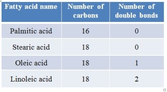 Refer to the table below.   A triglyceride contains glycerol bonded to three stearic acid residues.The molecule that is likely to have a melting point closest to that of this triglyceride is a triglyceride containing A)  three palmitic acid chains. B)  three oleic acid chains. C)  one palmitic acid chain and two oleic acid chains. D)  two palmitic acid chains and one linoleic acid chain. E)  one palmitic acid chain, one oleic acid chain, and one linoleic acid chain.