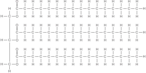 Refer to the figure below.   Suppose you had to synthesize a phospholipid using the compound shown above as starting material.What step would you take? A)  Add a phosphate group onto one of the carbons of the glycerol backbone. B)  Add a phosphate group onto the end of one of the hydrocarbon tails. C)  Add a phosphate group onto the carbonyl carbon connecting one of the fatty acids to the glycerol backbone. D)  Replace one of the fatty acids bonded to the glycerol backbone with a phosphate group. E)  Replace one of the glycerol backbone carbons with a phosphate group.