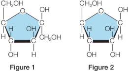 Refer to the figures below.   Figure 1 is a hexose sugar, while figure 2 is a _______ sugar.