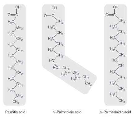 Refer to the figure and table below.     A table of triglyceride melting points is under construction.Each triglyceride contains 3 fatty acids having identical structures.The table will show their melting points in order, from lowest to highest.The triglyceride indicated by the letter B is _______ acid.