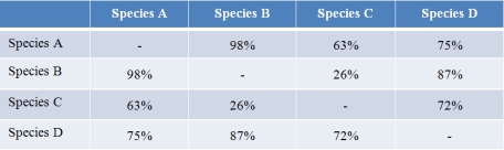 Refer to the table below showing the percent overlap in genomic sequences between species pairs.   Which two species are most closely evolutionarily related, and which two are most distantly related? A)  Species A and D are most closely related, while species B and C are most distantly related. B)  Species B and C are most closely related, while species A and D are most distantly related. C)  Species A and B are most closely related, while species B and D are most distantly related. D)  Species C and D are most closely related, while species A and C are most distantly related. E)  Species A and B are most closely related, while species B and C are most distantly related.