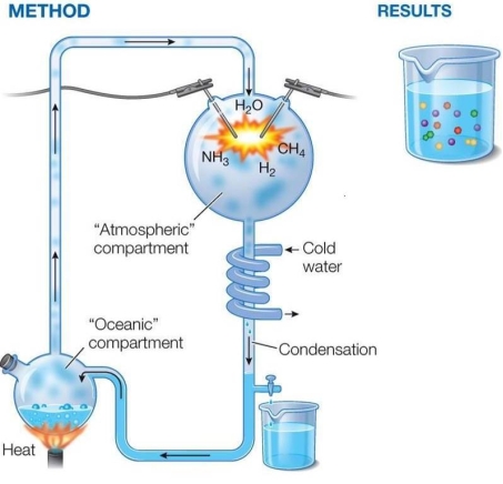 Refer to the figure below showing the Miller‒Urey experiment.   The experiment, which was performed in the 1950s, A)  showed that Earth's early environment had an atmosphere of N<sub>2</sub>, NH<sub>3</sub>, CH<sub>4</sub>, H<sub>2</sub>O, and H<sub>2</sub>. B)  showed that Earth's early atmosphere consisted of a combination of gases that is different from the one that exists today. C)  proved that carbon dioxide was present in Earth's early atmosphere. D)  demonstrated prebiotic synthesis of small molecules of life. E)  led to no meaningful conclusions, because there was no lightning in Earth's early environment.