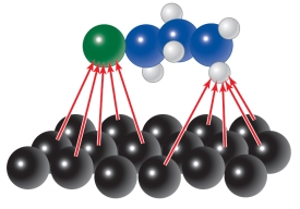 One way that modern enzymes increase reaction rates is to increase the chance for collision between molecules by binding them in close proximity to each other.Enzymes also increase rates by orienting reacting molecules in three-dimensional space to facilitate attack of one substrate by another.The figure below shows an organic molecule adsorbing onto a clay mineral surface.   How do the properties of enzymes mentioned above relate to the way that clay minerals are hypothesized to have been instrumental in the rise of life?