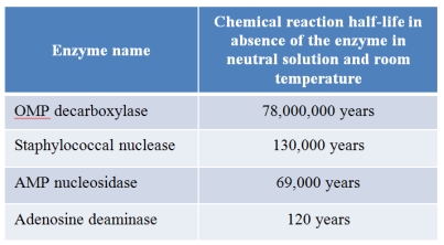 Refer to the table below listing protein enzymes found in modern cells.The half-lives of the chemical reactions catalyzed by these enzymes within cells are on the order of seconds to milliseconds or less.The half-lives of these same chemical reactions in the absence of their enzymes are listed in the  table.The half-life of a chemical reaction is the time it takes for half of the reactants to be converted to products, so you can use these data to compare the rates of catalyzed reactions to their noncatalyzed counterparts.   Can these data be used to justify the need for catalysts in the origin of life? Explain.