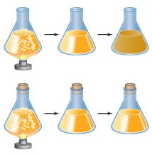 Refer to the figure below, showing two flasks of broth that were prepared and heated to boiling.Immediately after heating, one flask was left open and the other was sealed with a cork.Both flasks were allowed to cool and then left undisturbed for several days.Only one of the flasks developed a cloudy appearance, as shown.   When these results were presented as proof against spontaneous generation, a criticism was raised about the design of the experiment.Which is a valid criticism in this case? A)  The experiment lacked a control. B)  The heating step was not sufficient to destroy all microorganisms in the broth. C)  The experiment did not allow enough time for microorganism growth. D)  The experimental flask was sealed off from two variables: air and microorganisms. E)  The broth in the two flasks must have differed in microbe content before heating.