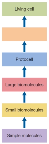 Refer to the figure below.   What belongs in the empty box? A)  Fatty acid self-assembly B)  External energy source C)  Water-based environment D)  Macromolecules and metabolic reactions E)  Nucleotide building blocks