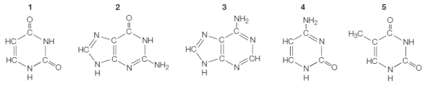 Refer to the figures below representing nitrogenous bases found in the structures of RNA and DNA.   The bases that can be grouped into the pyrimidines are shown in figures _______.