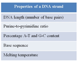 A scientist has isolated a strand of DNA from a fungus and plans to characterize its properties.She has made a list of these properties in the table below.   If the scientist wants to explore the evolutionary relationship between this fungus and another organism, she should use the _______ property of the DNA strand to carry out her analysis.