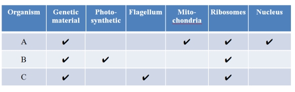Refer to the table below summarizing the characteristics of three different single-celled organisms isolated from a frozen lake in Antarctica.   Classify each organism as either a prokaryote or eukaryote, and explain your reasoning.