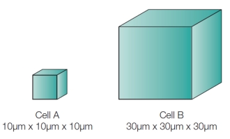 Refer to the figure below.   The villi of the small intestine are lined with epithelial cells that absorb nutrients from digested food on one side and transfer these nutrients into the blood on the other side.Which cell shown in the figure would be most efficient as an epithelial cell in the intestinal villi, and why? A)  Cell B because it has a greater volume than cell A. B)  Cell A because its volume is greater than its surface area. C)  Cell B because it has a greater surface area than cell A. D)  Cell A because it has a larger surface area-to-volume ratio than cell B. E)  Cell B because it has a larger overall size than cell A.