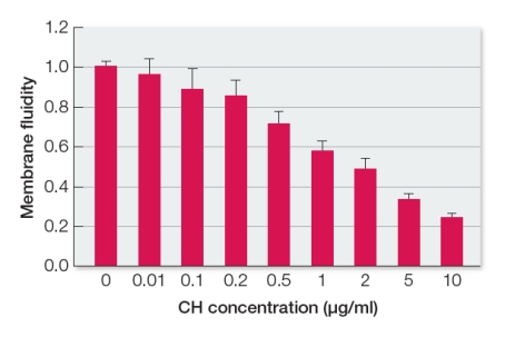Refer to the figure below showing results from an analysis of the fluidity of neutrophil membranes as a function of their cholesterol content.Neutrophils are a type of white blood cell in humans.   Which statement is consistent with these data? A)  Cholesterol has a negligible influence on cell membrane fluidity. B)  The greater the cholesterol content in a membrane, the more fluid the membrane is. C)  A membrane with less cholesterol is more fluid than a membrane with more cholesterol. D)  Membrane fluidity increases with increasing cholesterol concentration. E)  There is an inverse relationship between membrane fluidity and cholesterol content.