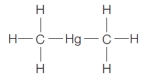 Refer to the figure below showing the molecular structure of dimethylmercury.   Exposure of human skin to a single drop of dimethylmercury can lead to death, as it passes easily through cell membranes because it is _______.
