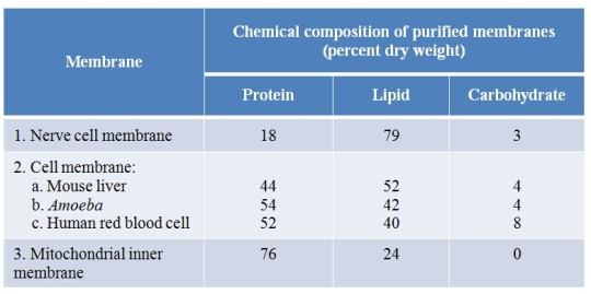 Refer to the table below.   Which statement about biological membranes is supported by these data? A)  All membranes share a similar fluid mosaic structure but are able to perform diverse functions because of differences in their membrane proteins. B)  Biological membranes consist of a lipid bilayer with the hydrophobic tails of lipids facing inward and hydrophilic groups facing outward. C)  Membranes in cells are dynamic structures in which both lipid and protein components can move laterally throughout the plane of the membrane. D)  Proteins are embedded within the lipid bilayer of most biological membranes asymmetrically, with more proteins present in the layer closer to the cytoplasm. E)  Carbohydrate groups extend outward from the lipid bilayer of biological membranes, protruding into either the cytoplasm or the external environment.