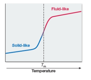 Refer to the figure and table below.     At low temperatures, cell membranes become quite immobile and solid-like.If the temperature is gradually increased, a membrane undergoes small changes until a large change in fluidity is observed.The midpoint temperature corresponding to this large change is called the melting temperature.The graph shows how a cell membrane's melting temperature (T<sub>m</sub>)  is measured.The table shows melting temperature data collected from membranes composed of phospholipids containing different fatty acids.Which statement is consistent with these data? A)  Increasing chain length or introducing double bonds into fatty acids in membrane phospholipids increases temperature-dependent membrane fluidity. B)  Increasing chain length or omitting double bonds from fatty acids in membrane phospholipids increases temperature-dependent membrane fluidity. C)  Decreasing chain length or introducing double bonds into fatty acids in membrane phospholipids increases temperature-dependent membrane fluidity. D)  Decreasing chain length of fatty acids in membrane phospholipids increases membrane fluidity, but introducing double bonds has no effect on temperature-dependent membrane fluidity. E)  Increasing chain length of fatty acids in membrane phospholipids increases temperature-dependent membrane fluidity, but introducing double bonds has no effect on fluidity.