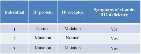 Refer to the figure and table below.     Vitamin B<sub>12</sub> is an essential vitamin that humans must acquire from their diets.Within the small intestine, vitamin B<sub>12</sub> is taken up by receptor-mediated endocytosis as shown in the figure.The protein labeled IF binds to vitamin B<sub>12</sub> molecules in the intestinal lumen, forming a complex.This complex is recognized by the IF receptor present on intestinal cells and stimulates endocytosis when it binds.Vitamin B<sub>12</sub> by itself does not bind to the receptor.Individuals known to carry a mutation in either the IF protein or the IF receptor are represented in the table, along with observations about whether symptoms of vitamin B<sub>12</sub> deficiency are present.If a drug molecule could be produced that would bind to vitamin B<sub>12</sub> and stimulate uptake by intestinal cells, which individual(s)  would be expected to benefit, based on the information given? A)  Individual 1 only B)  Individual 2 only C)  Individual 3 only D)  Individuals 1 and 2 only E)  Individuals 2 and 3 only