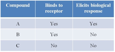 <strong>Refer to the table below. Compound X is the natural ligand that binds to a receptor and stimulates a signal transduction pathway associated with the receptor.Based on the information given in the table, what are the roles of compounds A, B, and C?</strong> A) A is an antagonist, B is an agonist, and C is a ligand. B) A is an agonist, B is an antagonist, and C has no role. C) A is a ligand, B has no role, and C is an antagonist. D) A is an agonist, B is an antagonist, and C is an agonist. E) A has no role, B is an agonist, and C is an antagonist.