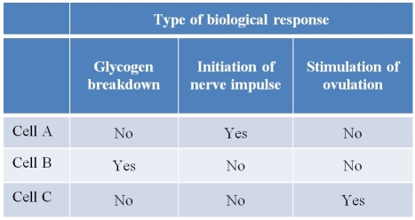 Refer to the table below, which lists three biological responses that result from cAMP-mediated signal transduction pathways.The  yes  and  no  references in the table indicate which cells are capable of displaying the three biological responses.   Which statement explains how the same second-messenger molecule, cAMP, can be involved in all of these different pathways? A)  The cells carrying out these signal transduction pathways are located in different regions of the body. B)  The cells carrying out these signal transduction pathways do so at different points in time and never simultaneously. C)  The cells contain different proteins that carry out different functions but respond to the same small molecule. D)  Each cell has lost the ability to carry out signal transduction pathways other than the few that are most important to its survival. E)  Each cell is programmed in its DNA to respond only to signals that are most important to its survival.