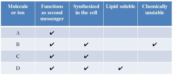 Refer to the table below.   Which molecules and ions are matched appropriately to the letters in the table? A)  A = calcium ions; B = NO; C = cAMP; D = inositol trisphosphate B)  A = NO; B = inositol trisphosphate; C = cAMP; D = calcium ions C)  A = inositol trisphosphate; B = cAMP; C = calcium ions; D = NO D)  A = NO; B = cAMP; C = calcium ions; D = inositol trisphosphate E)  A = inositol trisphosphate; B = calcium ions; C = NO; D = cAMP