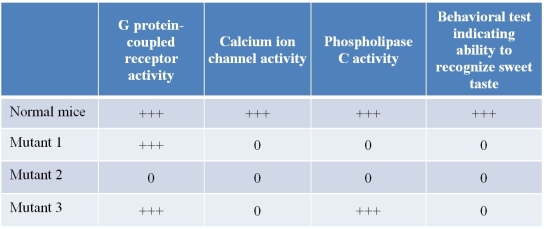 Refer to the table below, which shows results from investigations of four mouse lineages.   Three of these lineages have different mutations that disrupt the signal transduction pathway that allows mice to recognize sweet taste in response to sugar.For each mouse group, each component of the signal transduction pathway was tested in terms of its response to sugar, which was provided as a stimulus of the pathway.In the table,  +++  refers to high levels of activity in the response to sugar, and  0  refers to no activity in the response to sugar.These results provide evidence for which role of calcium ion channels in this signal transduction pathway? A)  Sugar binds to a receptor site on the exposed portion of the calcium ion channel protein, which initiates stimulation of the signal transduction pathway. B)  Activation of the G protein-coupled receptor transmits a signal to internal calcium ion channels, causing release of calcium ions that activate phospholipase C hydrolysis of PIP<sub>2</sub>. C)  Stimulation of the G protein-coupled receptor activates phospholipase C hydrolysis of PIP<sub>2</sub> to release IP<sub>3</sub>, which activates internal calcium ion channels to release calcium ions. D)  Activation of phospholipase C transmits a signal to the G protein-coupled receptor, which activates internal calcium ion channels, causing release of calcium ions. E)  Sugar binds to a receptor site on the exposed portion of the phospholipase C protein, which initiates activation of the G protein-coupled receptor that then activates internal calcium ion channels, causing release of calcium ions.