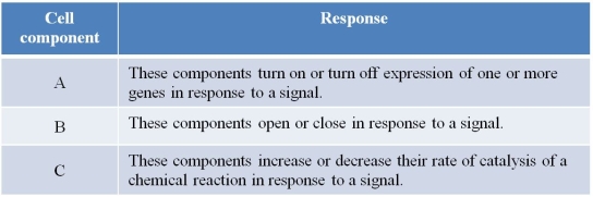 Refer to the table below.   The table lists three ways that a cell might respond to an external chemical signal.What are the cell components labeled A, B, and C? A)  A = ion channels, B = transcription factors, C = cellular enzymes B)  A = cellular enzymes, B = transcription factors, C = ion channels C)  A = transcription factors, B = cellular enzymes, C = ion channels D)  A = ion channels, B = cellular enzymes, C = transcription factors E)  A = transcription factors, B = ion channels, C = cellular enzymes