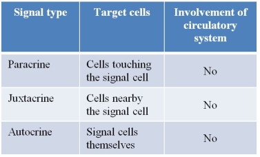 Refer to the table below.   A student created the table to help her remember the differences between chemical signal types.Which statement about the table is true? A)  Involvement of the circulatory system is not listed correctly for paracrine signals. B)  The target cells listed for paracrine and juxtacrine signals are reversed. C)  The target cells listed for juxtacrine and autocrine signals are reversed. D)  The target cells listed for autocrine signals are incorrect. E)  The table is accurate as written.