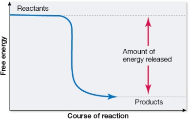 Refer to the figure below showing the change in free energy resulting from a chemical reaction.   Which statement about the reaction is true? A)  It is an endergonic reaction. B)  The reactants have less energy than the products. C)  <font face= symbol ></font>G is negative. D)  It is an example of a condensation reaction. E)  It is an anabolic reaction.