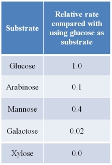 Refer to the table below.   Hexokinase catalyzes the reaction between glucose and ATP to form glucose 6-phosphate and ADP.The table summarizes results of experiments using purified hexokinase.In the experiments, different sugars were substituted for glucose, and the rate of each catalytic reaction was measured and divided by the rate of reaction using glucose as substrate.These data provide evidence for which general statement that has been made about enzymes? A)  Enzymes are able to speed up a reaction by lowering its activation energy. B)  Enzymes display high specificity with respect to their substrates. C)  Enzymes often require cofactors and/or coenzymes in addition to their substrates. D)  Enzymes bind substrates at their active sites using noncovalent forces of attraction. E)  Enzymes lower activation energy of a reaction by stabilizing the substrate's transition state.