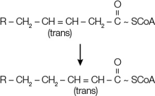 Refer to the reaction below.   The enzyme catalyzing this reaction would be classified along with other enzymes of the same type as a(n) _______.