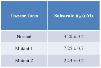Refer to the table below.   The table shows data collected from three forms of the same enzyme-one normal form and two mutant forms.The data show that the _______ form has the greatest affinity for substrate.