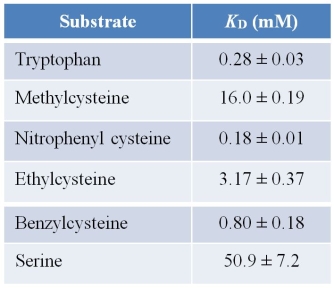 Refer to the expression and table below.     The enzyme tryptophanase catalyzes the reaction shown.However, research has revealed that compounds other than tryptophan can act as substrates for this enzyme.Some of these compounds are listed in the table along with their dissociation constants.What does the information in the table indicate about the affinity of the enzyme for compounds other than its natural substrate, tryptophan?
