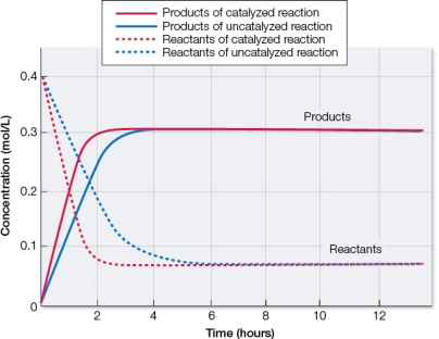 Refer to the figure below.   Based on the graph, which statement best describes these chemical reactions? A)  Addition of a catalyst to a reaction does not affect the equilibrium position of the reaction, but only increases the rate of attainment of equilibrium. B)  Addition of a catalyst to a reaction speeds up the reaction by decreasing the amount of energy input needed to get over the activation energy barrier. C)  Addition of heat to a reaction speeds up the reaction by increasing the kinetic energy of reactant molecules, which increases collisions that result in products. D)  Addition of energy must be made to exergonic reactions in order to allow reactants to achieve the transition state that can then proceed spontaneously to form products. E)  Addition of energy to an endergonic reaction above that needed to go from reactants to products must be made in order to allow reactants to achieve the transition state.