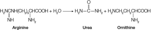 Refer to the figure below.   The enzyme catalyzing this reaction would be classified in the group of enzymes known as _______.