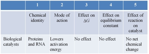 Refer to the table below.   A student prepared the table to summarize information she had learned about biological catalysts.Which statement best evaluates the accuracy of the information in the table? A)  The table is accurate as written. B)  Information in columns 2 and 3 should be switched. C)  Information in columns 2 and 4 should be switched. D)  Information in column 1 is incorrect. E)  Information in column 5 is incorrect.