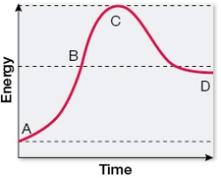 Refer to the graph below.   The letter _______ labels the transition state, and the free energy change for this reaction has a _______ value. A)  B; negative B)  C; positive C)  D; negative D)  B; positive E)  C; negative