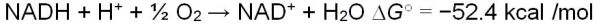 The following reaction summarizes the overall chemical change that takes place as the result of electrons transferred along the respiratory chain.   The formation of ATP from ADP and P<sub>i</sub> requires the input of 7.3 kcal/mol.The respiratory chain can efficiently convert the majority of the free energy released from electrons to the chemical energy of phosphate bonds in ATP molecules, without a lot of wasted energy given off as heat.Which characteristic of the respiratory chain explains how this is possible? A)  The number of components in the respiratory chain B)  The sizes of the components of the respiratory chain C)  The protein nature of many of the components in the respiratory chain D)  The location of the components in the inner mitochondrial membrane E)  The identity of the final electron acceptor at the end of the respiratory chain
