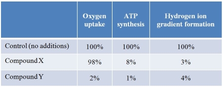 Refer to the table below, showing data collected from experiments using purified soybean mitochondria incubated in buffer containing compound X, compound Y, or no additions.Three different assays were performed on each group of mitochondria to determine the rate of oxygen uptake, ATP synthesis, and formation of a hydrogen ion gradient.The results are expressed as a percentage relative to the control group.   Which conclusion is consistent with these results? A)  Compound X and compound Y inhibit different proteins in the respiratory chain. B)  Compound X and compound Y both uncouple electron transport from ATP synthesis. C)  Compound X uncouples electron transport from ATP synthesis, and compound Y inhibits a protein in the respiratory chain. D)  Compound X inhibits a protein in the respiratory chain, and compound Y uncouples electron transport from ATP synthesis. E)  Compound X prevents oxygen from functioning as the final electron acceptor, and compound Y inhibits a protein in the respiratory chain.