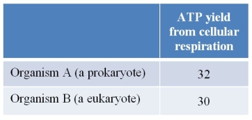 Refer to the table below, showing ATP yield from cellular respiration in two different microorganisms.Yield is defined as the net number of molecules of ATP formed for every glucose molecule oxidized.   Which statement provides a possible explanation for why the yields differ? A)  There is more opportunity for ATP to hydrolyze spontaneously before it can be used in the eukaryotic cell than in the prokaryotic cell. B)  The prokaryote has fewer respiratory proteins in its electron transport chain than the eukaryote. C)  NADH produced via glycolysis must be shuttled across the mitochondrial membrane in the eukaryote but not in the prokaryote. D)  Some ATP is used in the beginning steps of glycolysis in the eukaryote but not in the prokaryote. E)  The prokaryote has the capability of switching from aerobic to anaerobic respiration whereas the eukaryote does not.