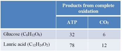 Refer to the table below.   The table summarizes the products (in moles)  of the complete oxidation of 1 mole of glucose and the complete oxidation of 1 mole of lauric acid, a fatty acid.Use this information to determine how energy production will compare when an equivalent amount of carbon dioxide is produced from oxidation events involving these two molecules. A)  The energy production will be equal for equal quantities of CO<sub>2</sub> production by these two molecules. B)  The energy production by lauric acid oxidation will be greater by 10 ATP when the two molecules are fully oxidized to produce equal quantities of CO<sub>2</sub>. C)  The energy production by glucose oxidation will be greater by 10 ATP when the two molecules are fully oxidized to produce equal quantities of CO<sub>2</sub>. D)  The energy production by lauric acid oxidation will be greater by 14 ATP when the two molecules are fully oxidized to produce equal quantities of CO<sub>2</sub>. E)  The energy production by glucose oxidation will be greater by 14 ATP when the two molecules are fully oxidized to produce equal quantities of CO<sub>2</sub>.