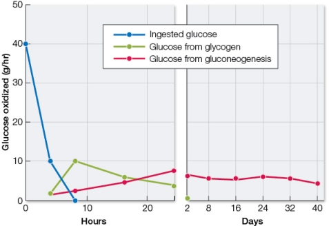 Refer to the graph below, showing changes in the source of blood glucose as a person goes from a state of active food intake to a state of starvation.   The person's blood glucose levels remain very stable; only the source of glucose changes.Liver cells play an active role in maintaining the stable levels of blood glucose.Which changes in liver cell metabolism could account for the data shown? A)  At 1 hour after eating, liver cells inhibit phosphofructokinase and activate enzymes involved in glycogen breakdown. B)  At 4 hours after eating, liver cells activate enzymes involved in glycogen breakdown as well as enzymes involved in the breakdown of proteins and lipids. C)  At 10 hours after eating, liver cells activate fatty acid synthase and inhibit enzymes involved in the breakdown of proteins and lipids. D)  At 2 days into starvation, liver cells activate phosphofructokinase and inhibit enzymes involved in glycogen breakdown. E)  At 16 days into starvation, liver cells activate phosphofructokinase and inhibit enzymes involved in the breakdown of proteins and lipids.