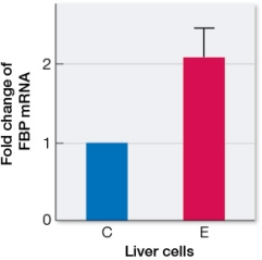 The graph represents data collected by researchers interested in observing how diet affects cell metabolism.In the investigation, mice were grouped into control (C) and experimental (E) groups according to diet.   Control mice were fed normal mouse chow that has a mix of carbohydrate, protein, and fat.Experimental mice were fed chow made up of equal parts of protein and fat, with very little carbohydrate.After 8 weeks, samples of liver tissue were analyzed in various ways.In one assay, the expression of mRNA transcripts of the gene for fructose 1,6-bisphosphatase (FBP mRNA) was quantified.FBP is important in the gluconeogenesis pathway and catalyzes the conversion of fructose 1,6-bisphosphate to fructose 6-phosphate.The graph represents the results of this analysis.Explain what the data indicate about metabolic regulation in the liver when intake of carbohydrates is very low.