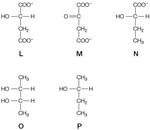 Refer to the figure below.   Of the compounds shown, which is the most oxidized, and which is the most reduced? A)  L is the most oxidized, and N is the most reduced. B)  N is the most oxidized, and O is the most reduced. C)  M is the most oxidized, and N is the most reduced. D)  O is the most oxidized, and M is the most reduced. E)  M is the most oxidized, and P is the most reduced.