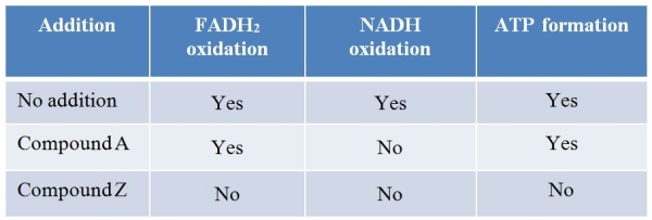 Mouse mitochondria were isolated and incubated with two different compounds to see whether they affected FADH<sub>2</sub> oxidation, NADH oxidation, or ATP formation.A control sample was run in the absence of either compound.The results are summarized in the table as  yes  if a process was observed and  no  if a process was not observed.   Which statement is consistent with these data? A)  Compound Z inhibits a component of the electron transport chain, while compound A inhibits ATP synthase. B)  Compound A inhibits a component of the electron transport chain, while compound Z inhibits ATP synthase. C)  Compound Z inhibits the first component of the electron transport chain, while compound A inhibits a later component of the chain. D)  Compound A inhibits the first component of the electron transport chain, while compound Z inhibits a later component of the chain. E)  Compound A and compound Z both directly interfere with the final transfer of electrons to oxygen.